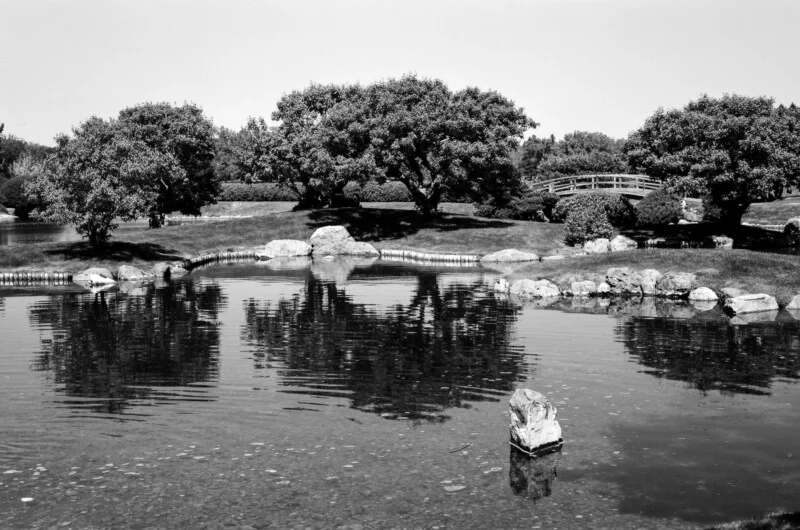 A black and white view of a calm pond with a single rock in the foreground, reflecting trees and a wooden bridge on the grassy bank.
