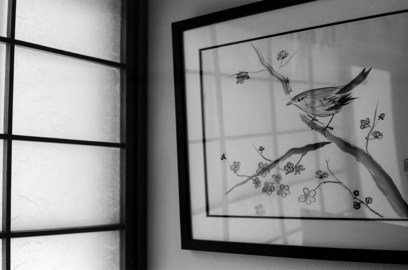 A framed ink wash painting of a bird perched on a flowering branch hangs on a wall next to a shoji screen window.