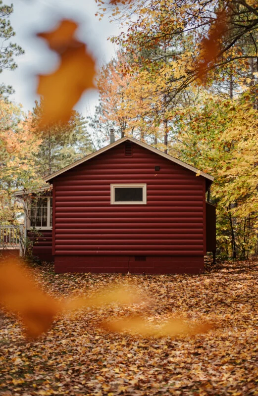 A red log cabin sits in a forest clearing covered in fallen autumn leaves, with blurred yellow leaves in the foreground.
