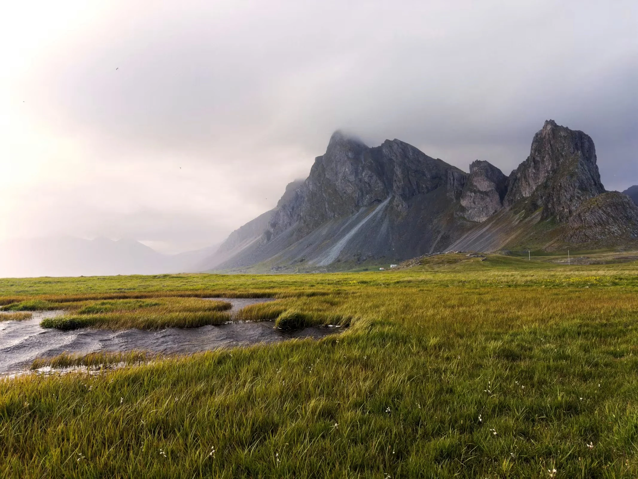 A grassy marsh with a small pool of water in the foreground sits before a range of jagged, cloud-covered mountains.