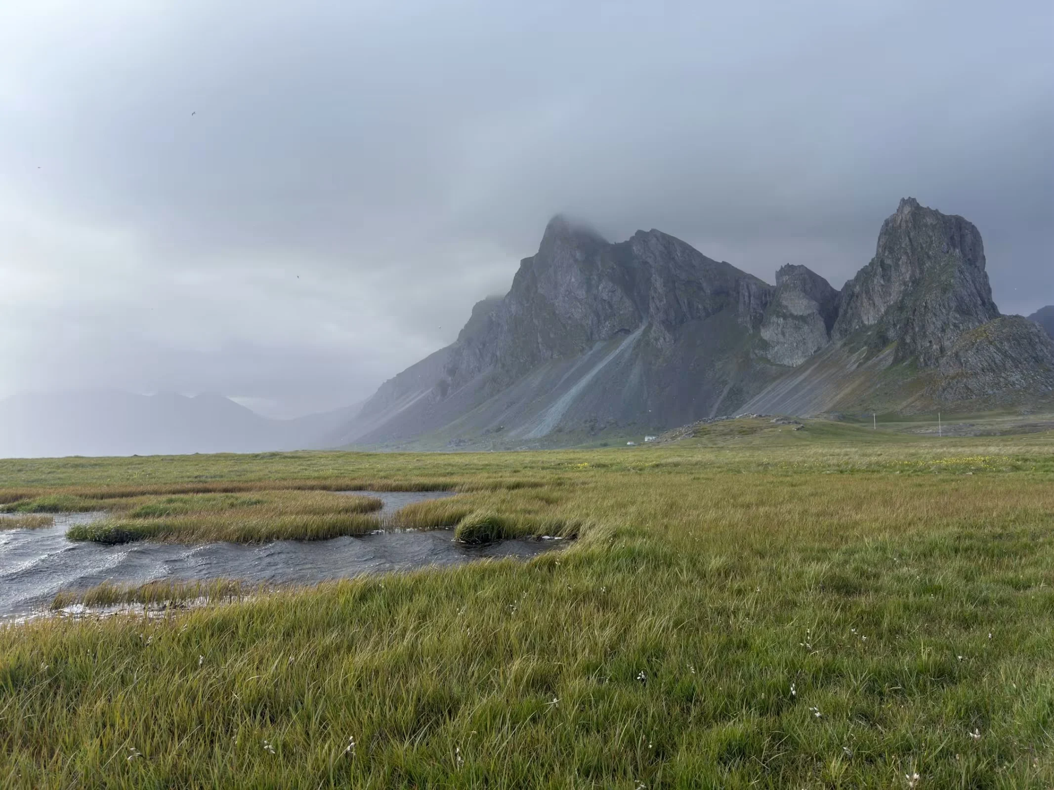 A grassy wetland with a small pool of water in the foreground sits before a dramatic, cloud-covered mountain range.