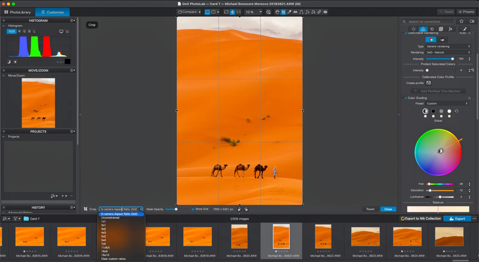A computer screen displays the DxO PhotoLab software interface with a vertical crop tool active over a desert landscape featuring camels and a person walking on sand dunes.
