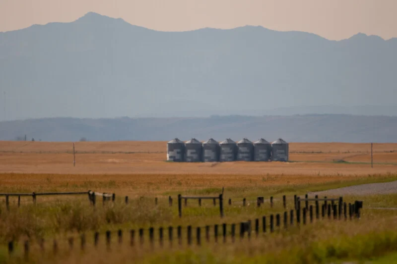 A row of seven metal grain silos stands in a golden field against a backdrop of distant mountains.