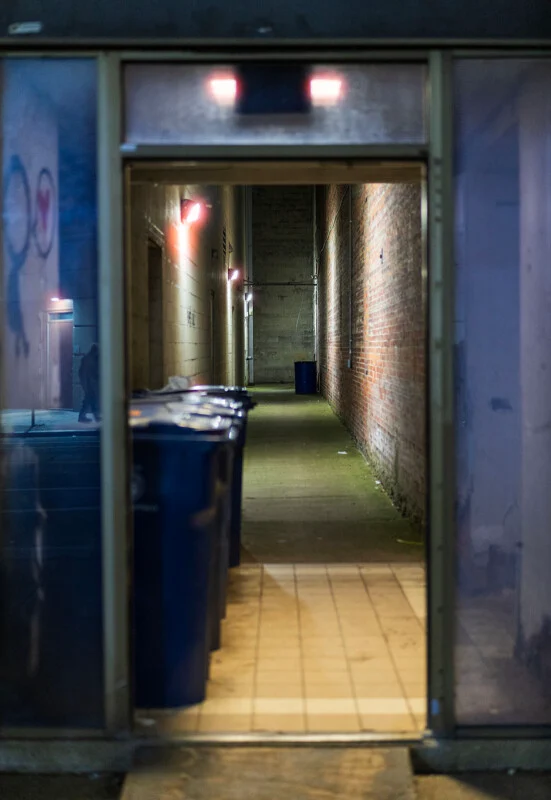 A view through a doorway into a narrow, dimly lit alleyway lined with blue trash bins and brick walls.