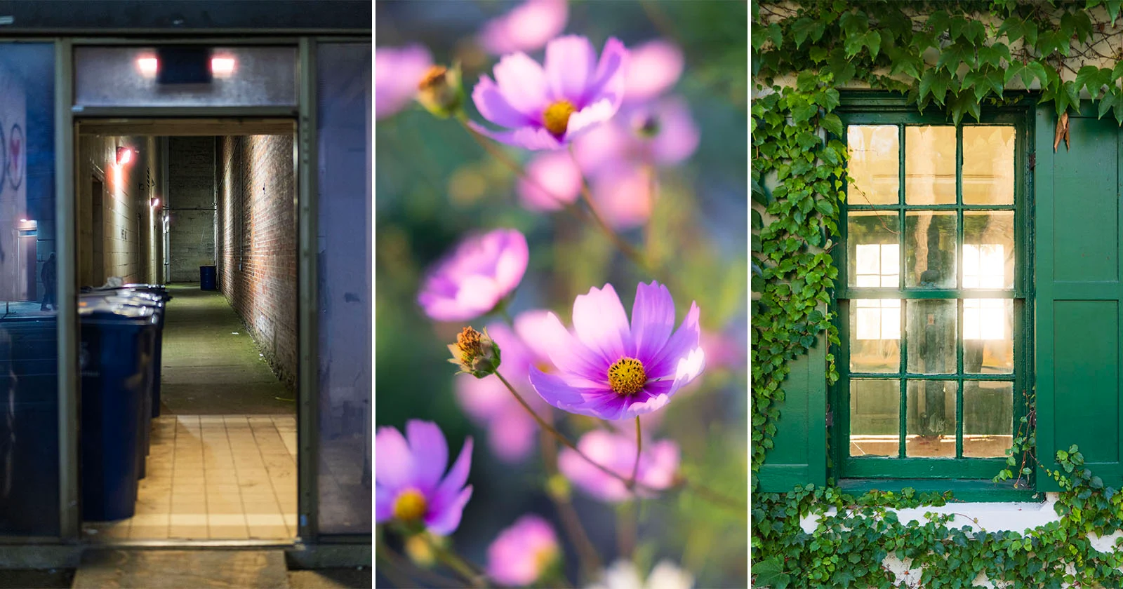 Ik vind het nieuwe Glow-effect in Adobe Camera Raw geweldig