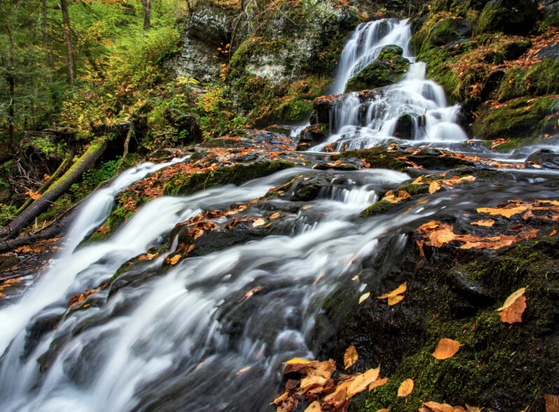 A cascading waterfall flows over mossy, dark rocks covered in fallen autumn leaves within a lush forest.