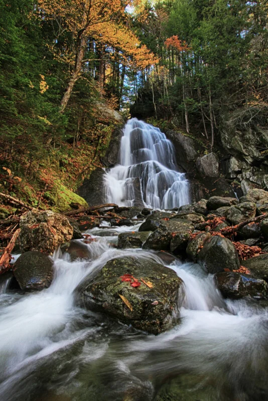 A cascading waterfall flows over dark, mossy rocks surrounded by a dense forest with autumn-colored foliage.