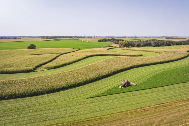 A red tractor mows a green field in front of large, curved rows of tall, golden corn crops under a clear sky.