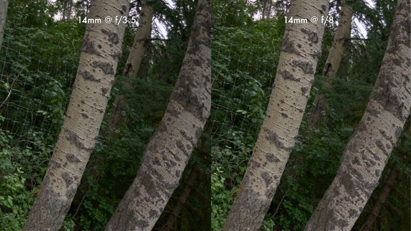 A side-by-side comparison of two identical forest scenes, labeled 14mm @ f/3.5 on the left and 14mm @ f/8 on the right.