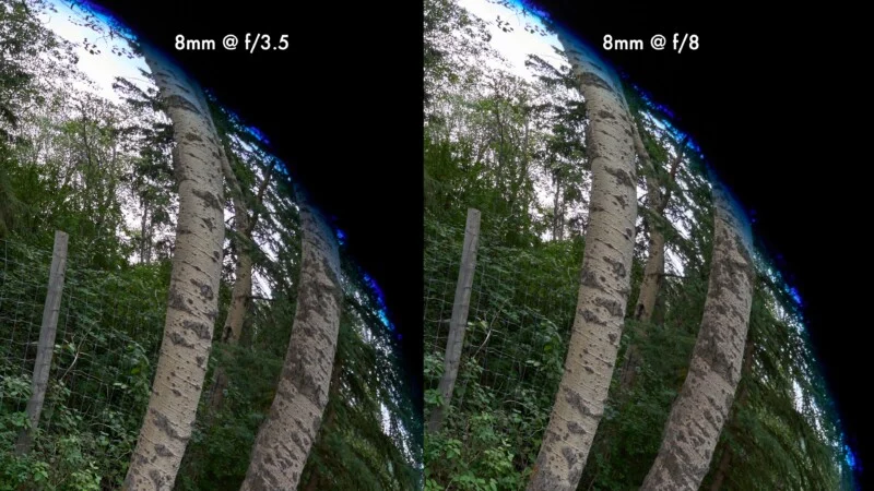 A side-by-side comparison of two fisheye lens shots of trees, labeled 8mm @ f/3.5 and 8mm @ f/8, showing identical framing.