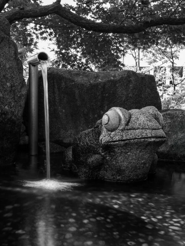 A stone frog statue sits in a shallow pond next to a metal pipe pouring a steady stream of water.