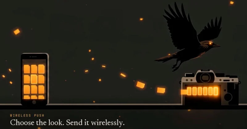 A smartphone displaying a grid of orange file icons sits next to a camera, with glowing orange icons floating between them and a black bird flying above.