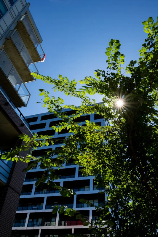 Sunlight flares through the leaves of a tree in front of a modern, multi-story apartment building with balconies under a clear blue sky.