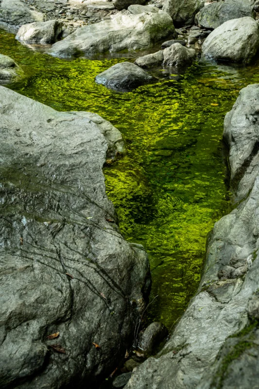 A narrow, clear stream flows between large, weathered grey rocks, reflecting the vibrant green of surrounding foliage.