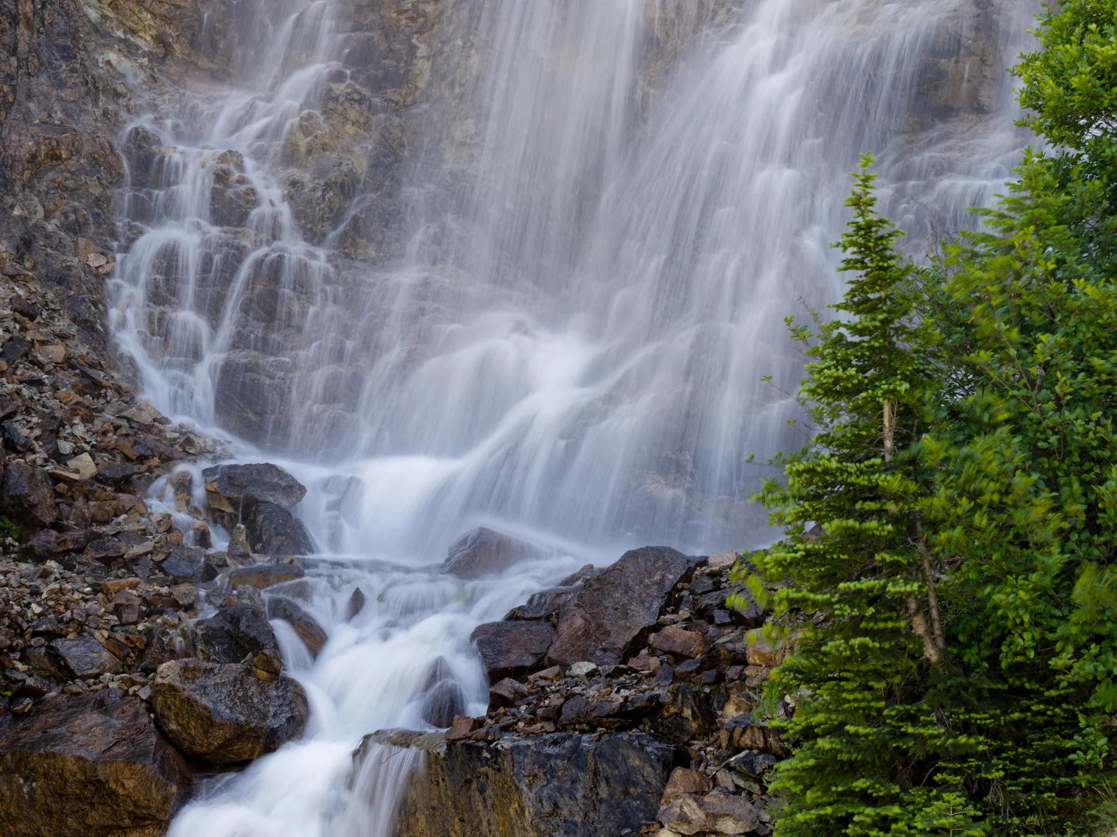 A waterfall cascades over rocky terrain next to a small evergreen tree.