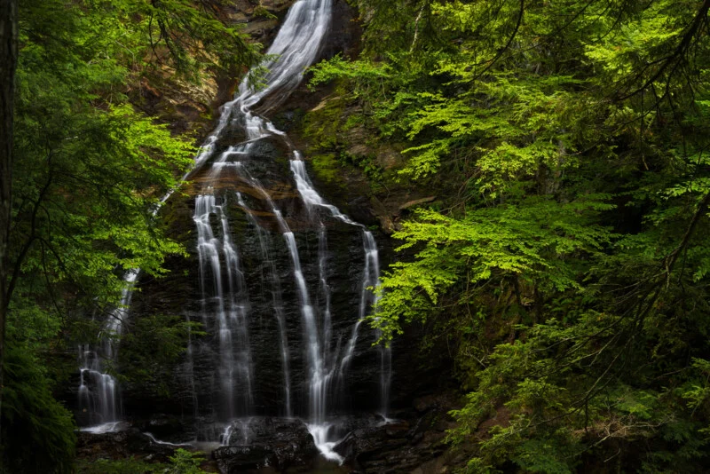 Een hoge waterval klesst neer op een donker, met mos bedekt rotsoppervlak omgeven door weelderig groen bosgewas.