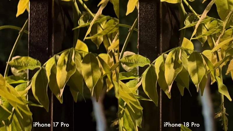 Een zij-aan-zij vergelijking van twee identieke afbeeldingen van bladeren tegen een donkere schutting, gelabeld “iPhone 17 Pro” links en “iPhone 18 Pro” rechts.
