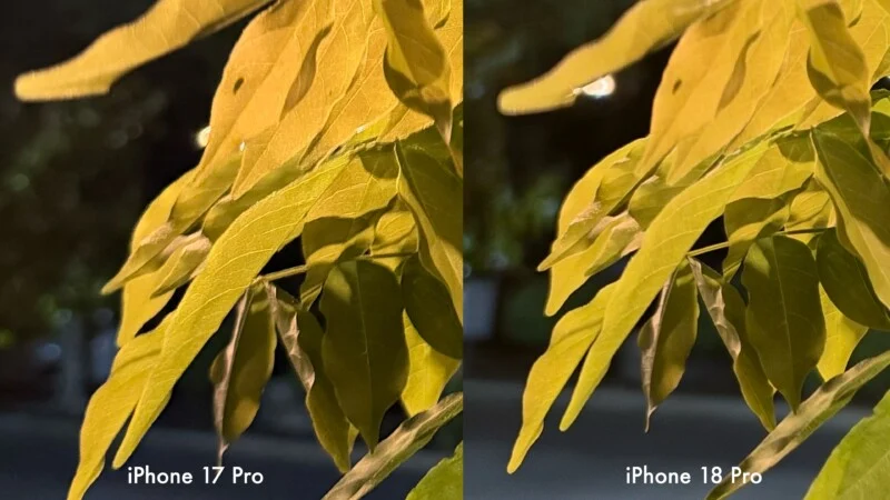 Een side-by-side vergelijking van twee nachtopnames van geel verlichte bladeren, gelabeld “iPhone 17 Pro” links en “iPhone 18 Pro” rechts.