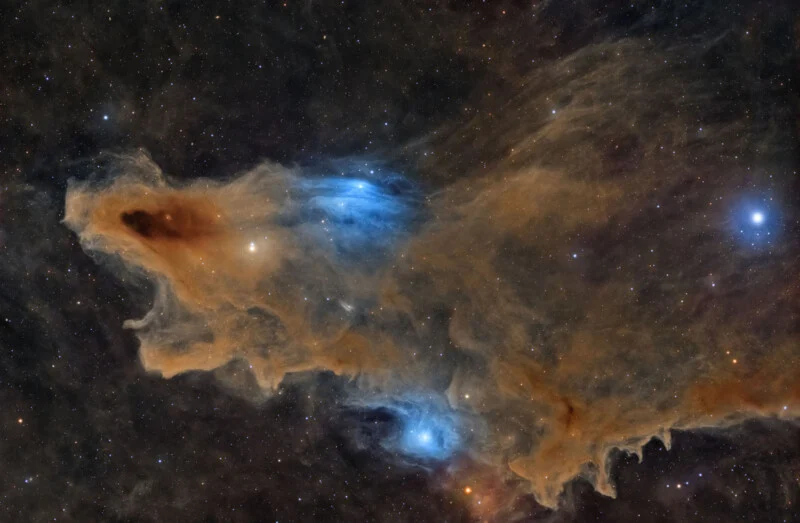 A vast, wispy nebula of golden-brown dust clouds features two prominent, glowing blue reflection nebulae against a dark, star-filled sky.