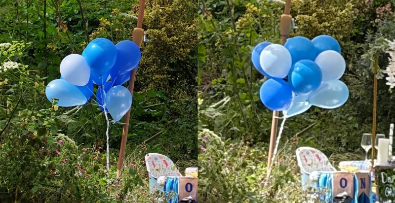 A bunch of blue and light blue balloons tied to wooden poles outdoors, surrounded by greenery and plants. There are also some decorated boxes and a white chair beneath the balloons.