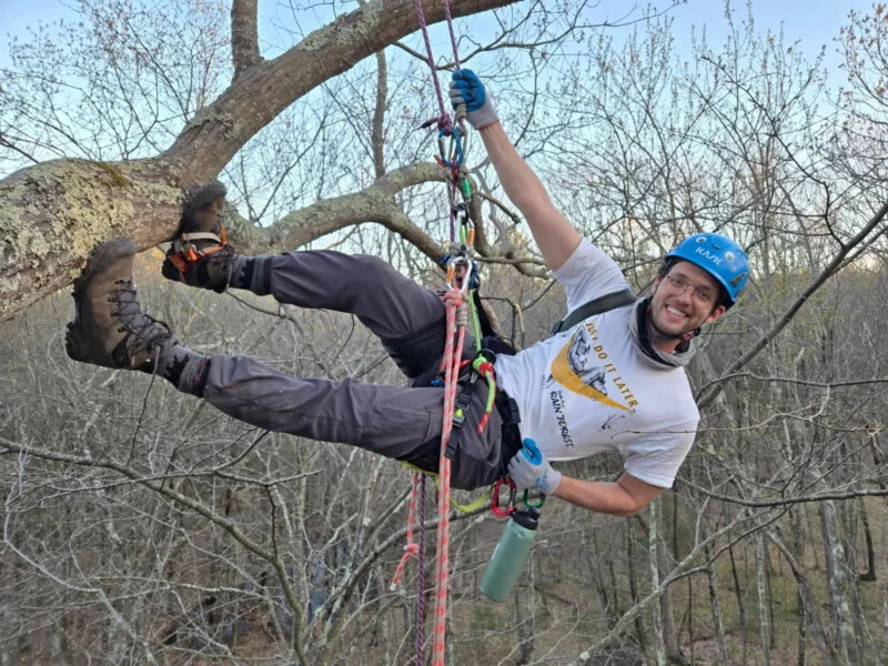 A smiling man wearing a blue helmet and climbing gear is suspended in a tree, holding onto a rope system with one hand.