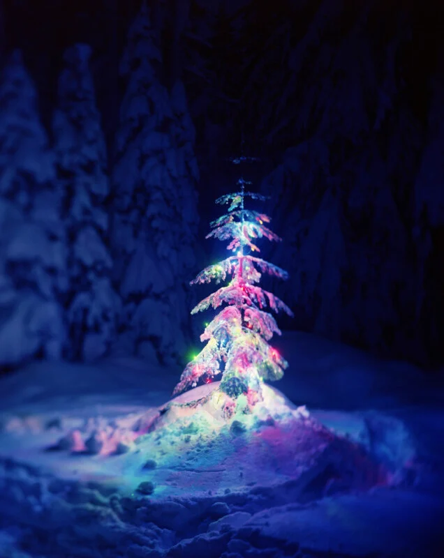 A small, snow-covered evergreen tree decorated with glowing, multicolored string lights stands in a dark, snowy forest.