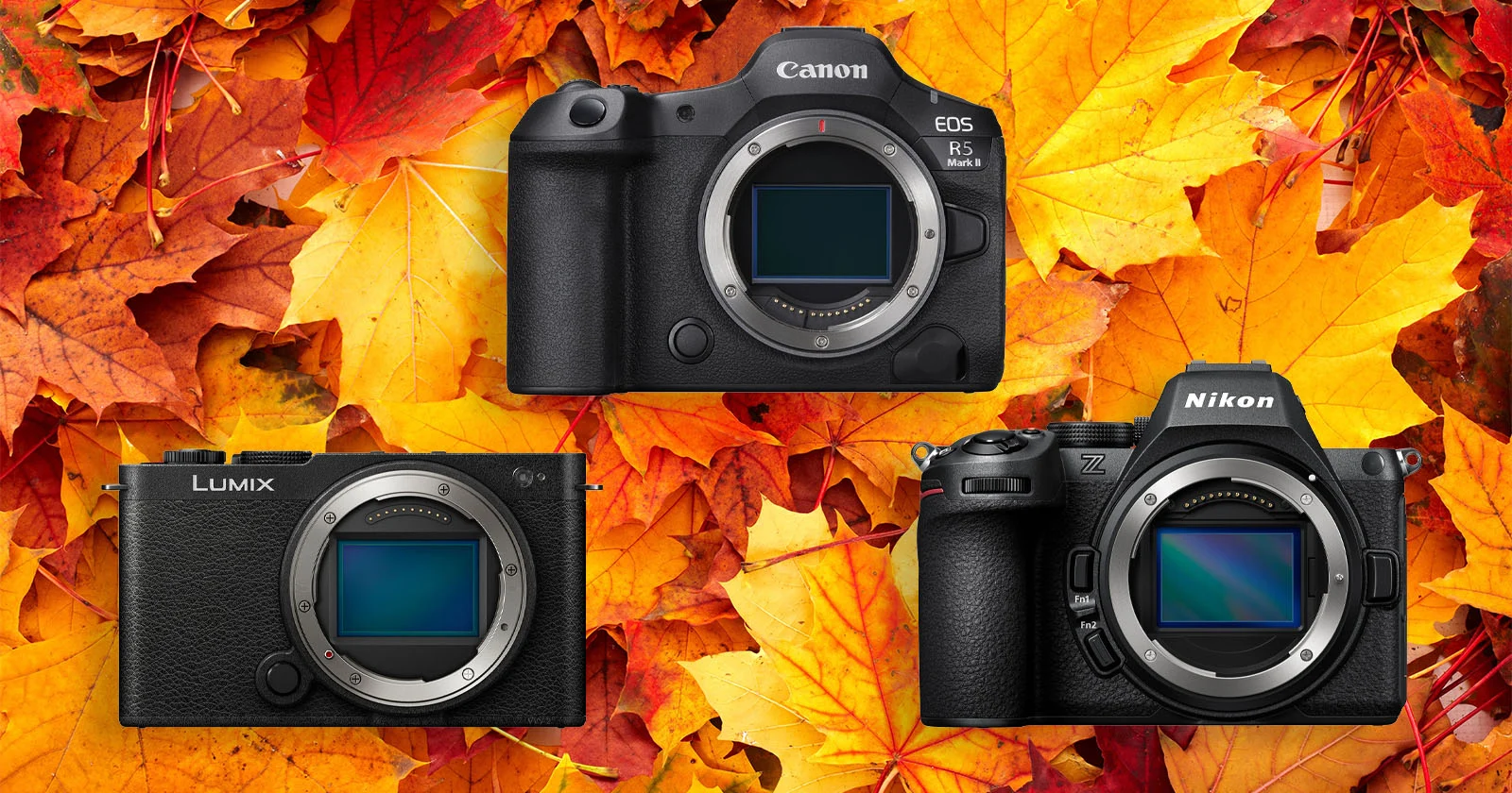 Bespaar honderden euro's op deze 15 spiegelloze camera's