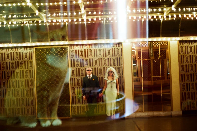 A man in a suit and a woman in a wedding dress and veil stand before a patterned wall, with a large, ghostly reflection of a cat superimposed over the scene.