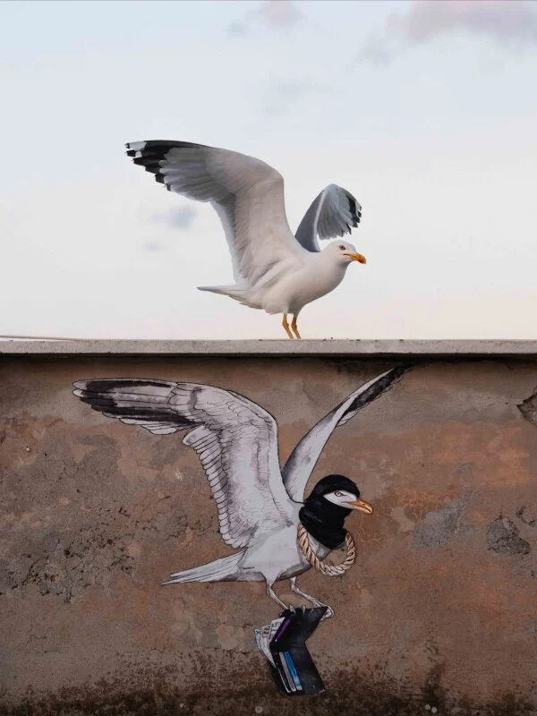 A real seagull stands on a ledge above a mural of a seagull wearing a black balaclava and gold chain while holding a wallet.