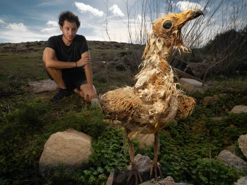A man crouches on a grassy hillside next to a large, weathered, bird-like sculpture with textured, frayed plumage.