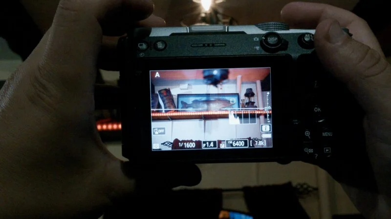 Een persoon houdt een digitale camera vast, waarop live view wordt weergegeven van een voorraad vissen met instellingen die 1/1600, f/1.4 en ISO 6400 tonen.