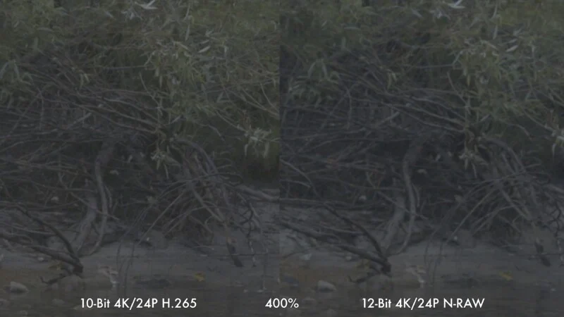 A side-by-side comparison of a low-contrast, desaturated landscape scene at 400% zoom, labeled 10-Bit 4K/24P H.265 on the left and 12-Bit 4K/24P N-RAW on the right.