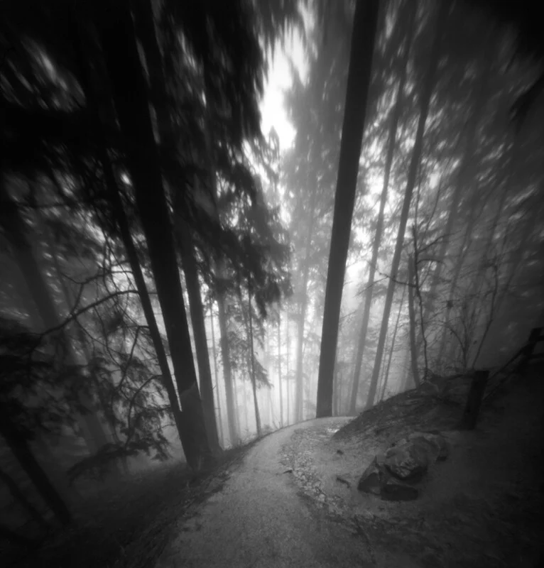 A black and white, wide-angle view of a dirt path winding through a dense, foggy forest with tall, blurred trees.