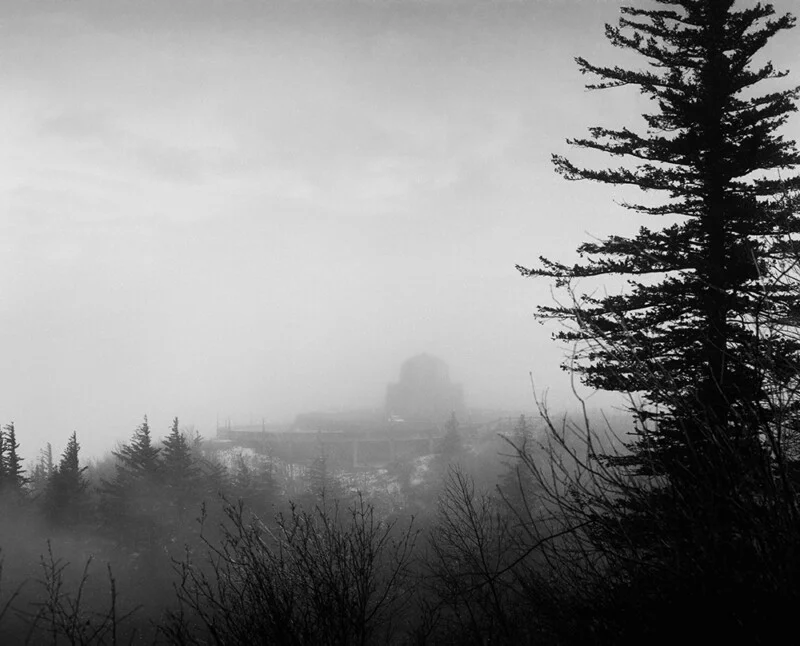 A tall evergreen tree stands in the foreground to the right, overlooking a misty, snow-dusted mountain landscape with a distant building.