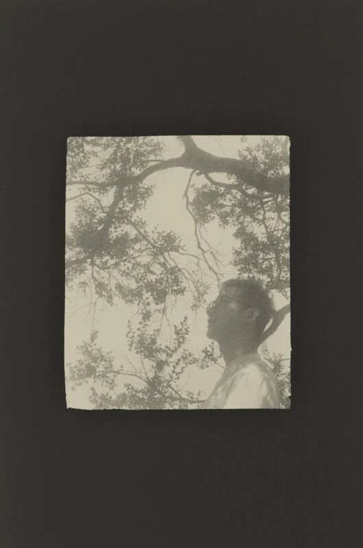 A person in glasses looks upward against a background of silhouetted tree branches, presented as a textured print on a dark surface.