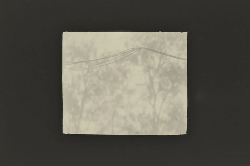 A rectangular, light-colored print with rough edges is centered against a dark background, showing faint, blurry silhouettes of tree branches and thin, horizontal power lines.
