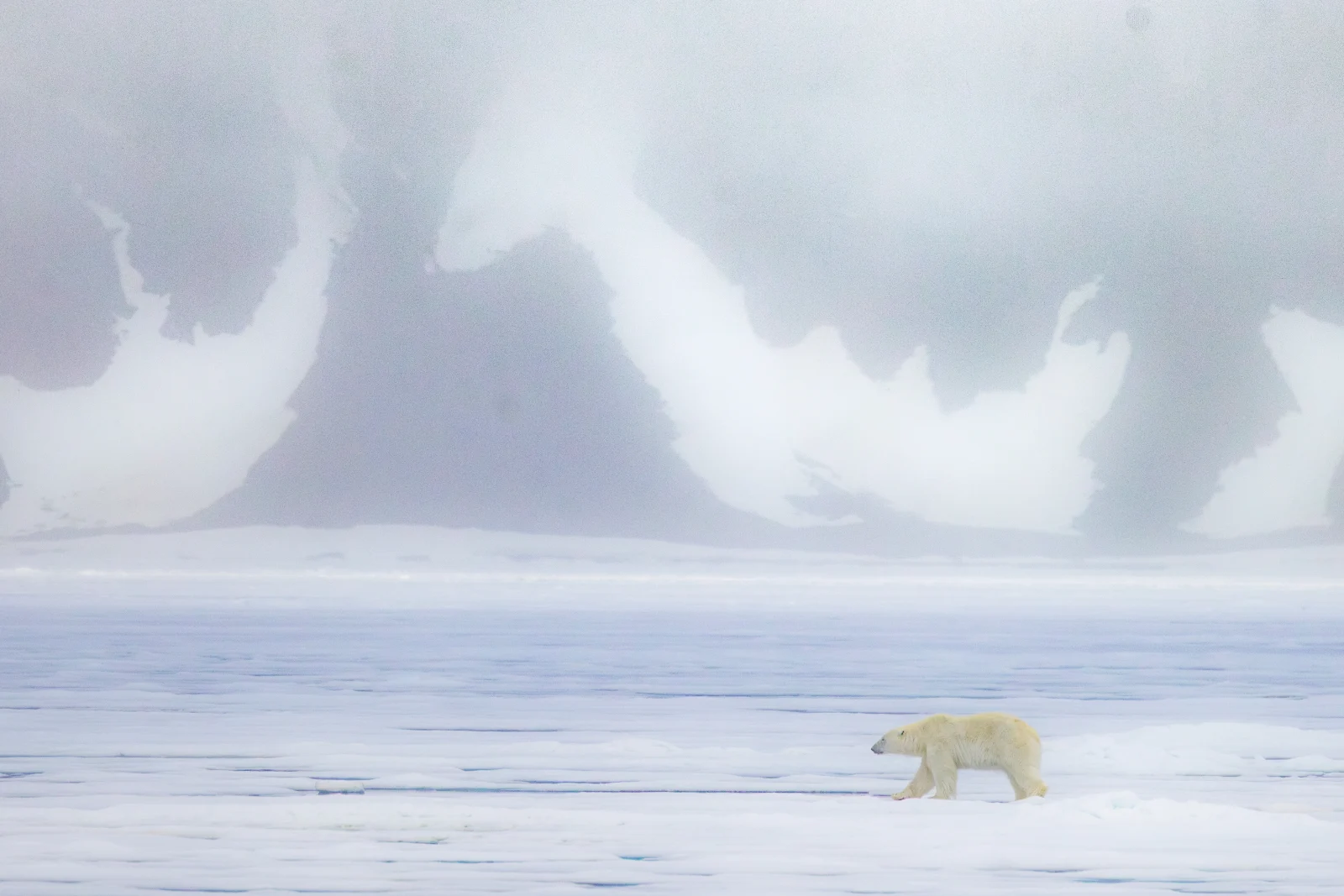 A polar bear walks across a vast, flat expanse of white ice against a backdrop of misty, snow-covered mountains.