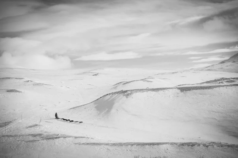 A dog sled team travels across a vast, snow-covered landscape under a cloudy sky.
