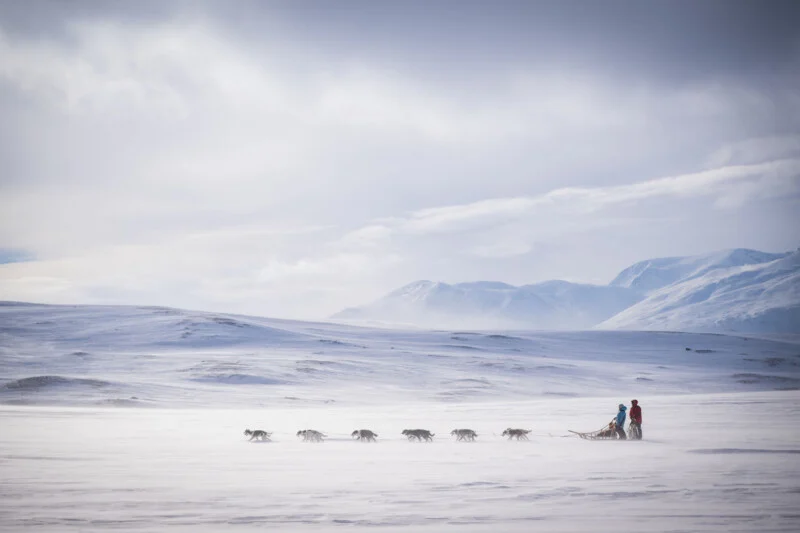 A dog sled team with two people travels across a vast, snow-covered landscape under a cloudy sky with distant mountains.