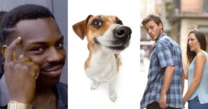 Wat gebeurt er als je foto een virale meme wordt?