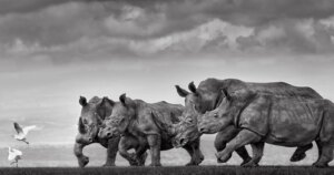 10 winnaars van de Epson Internationale Pano Awards