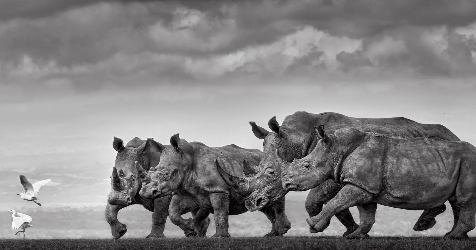 10 winnaars van de Epson Internationale Pano Awards