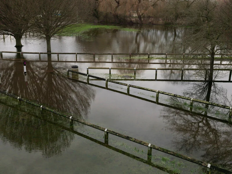 A flooded park area with bare trees and wooden fences partially submerged in standing water.