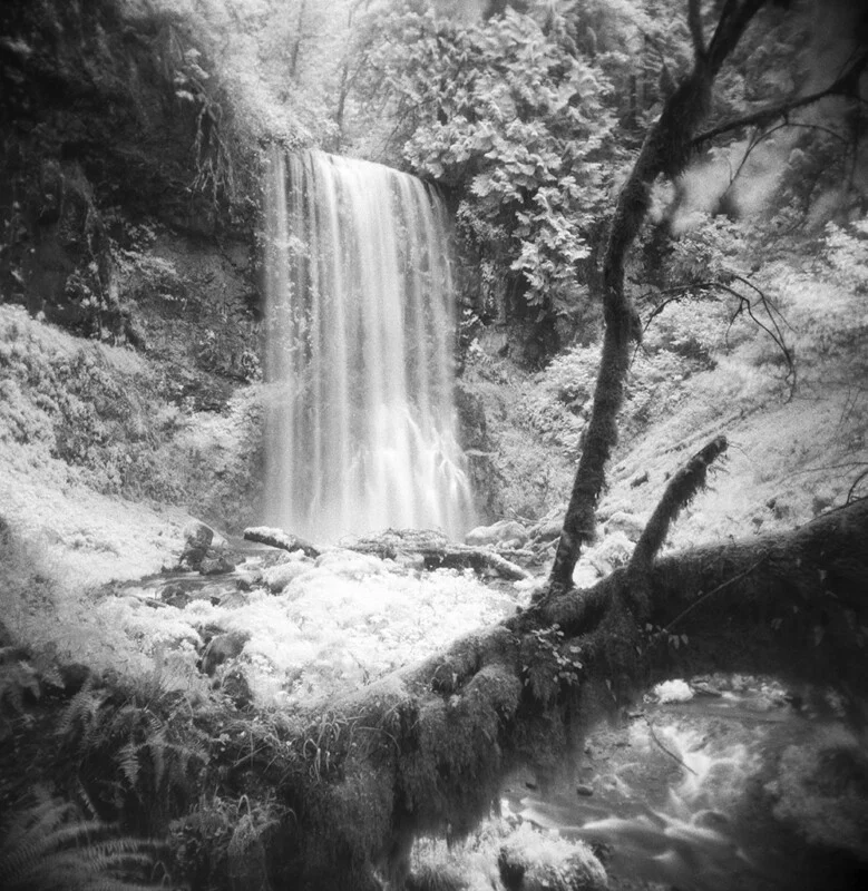 A black-and-white infrared photograph of a waterfall cascading into a rocky, mossy forest stream with a large fallen tree in the foreground.
