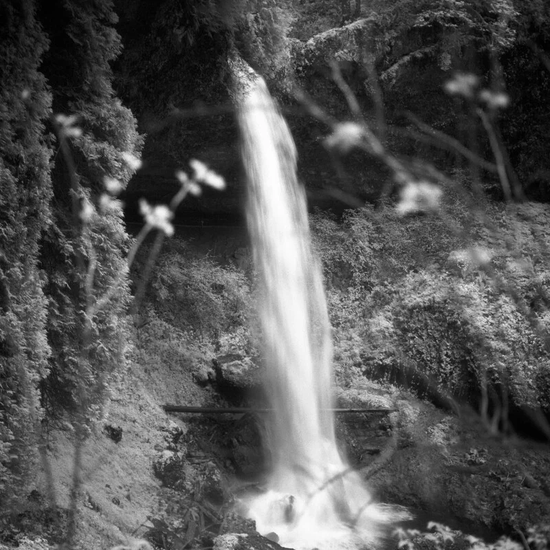 A black-and-white view of a waterfall cascading down a rocky cliff, framed by blurred foreground foliage.