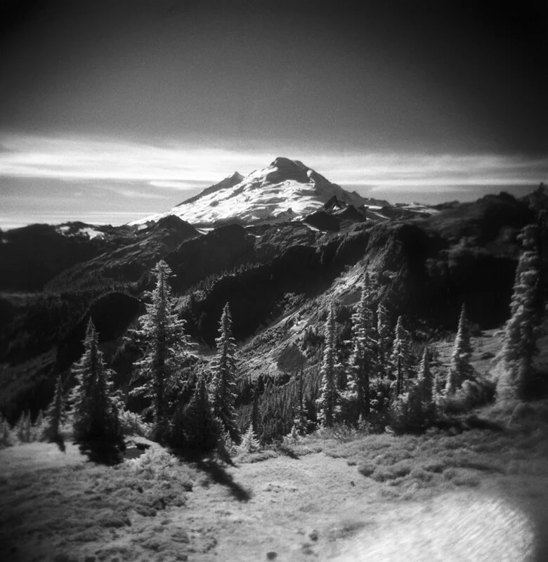 A black-and-white landscape featuring a snow-capped mountain peak rising above a forest of evergreen trees.