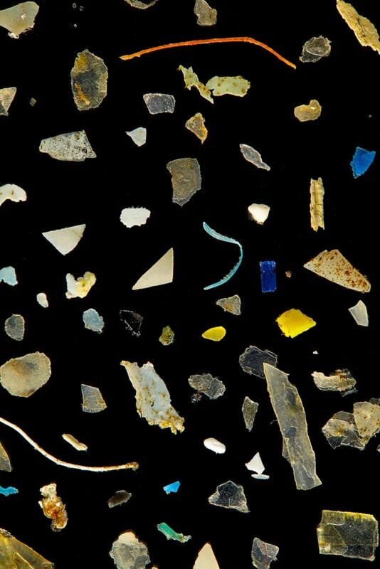 A collection of various small, colorful plastic fragments and fibers scattered against a solid black background.