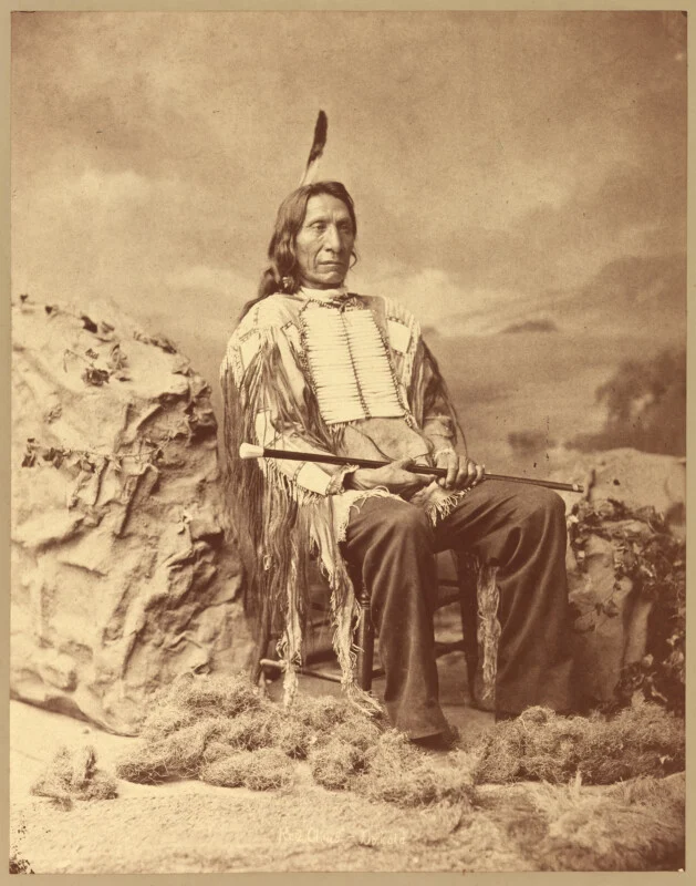 A studio portrait of Red Cloud, a Lakota leader, sitting on a wooden chair holding a cane, with a painted backdrop and artificial foliage.