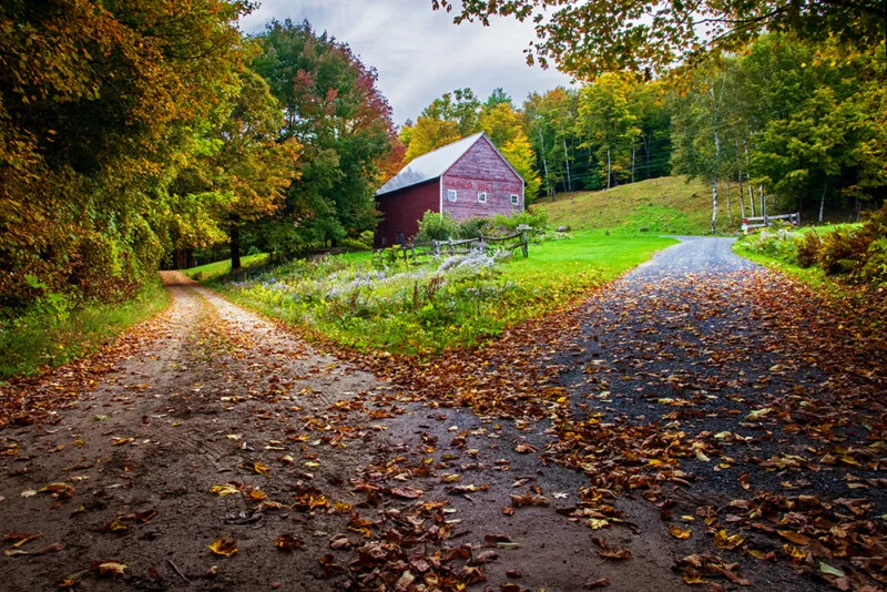 A red barn sits at a fork in a dirt road covered in fallen autumn leaves, surrounded by trees with colorful fall foliage.