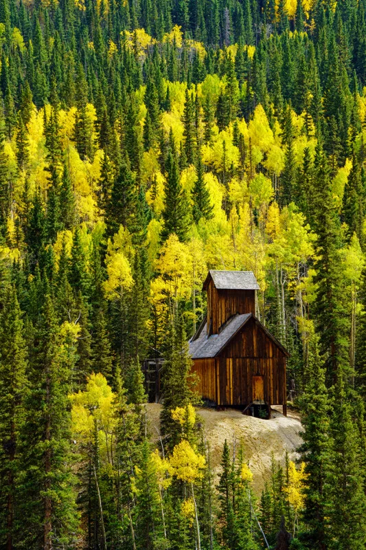 A rustic wooden mining structure sits on a light-colored dirt mound surrounded by a dense forest of evergreen trees and golden-yellow aspen trees.